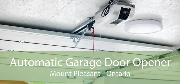 Automatic Garage Door Opener Mount Pleasant - Ontario