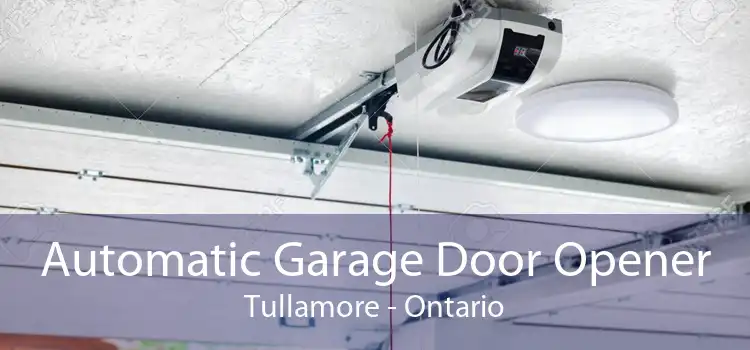 Automatic Garage Door Opener Tullamore - Ontario