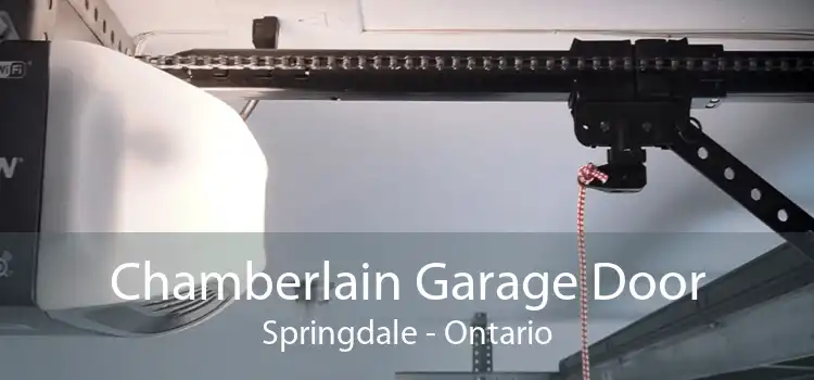 Chamberlain Garage Door Springdale - Ontario