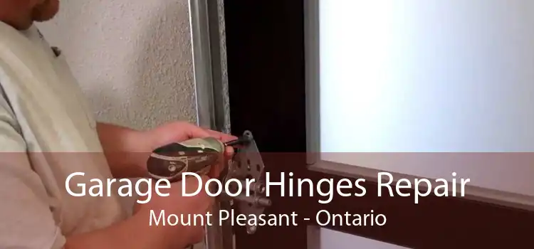 Garage Door Hinges Repair Mount Pleasant - Ontario