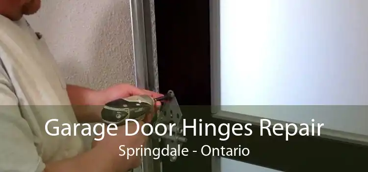 Garage Door Hinges Repair Springdale - Ontario