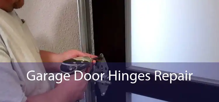 Garage Door Hinges Repair 