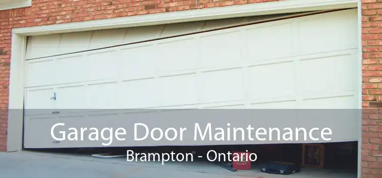 Garage Door Maintenance Brampton - Ontario