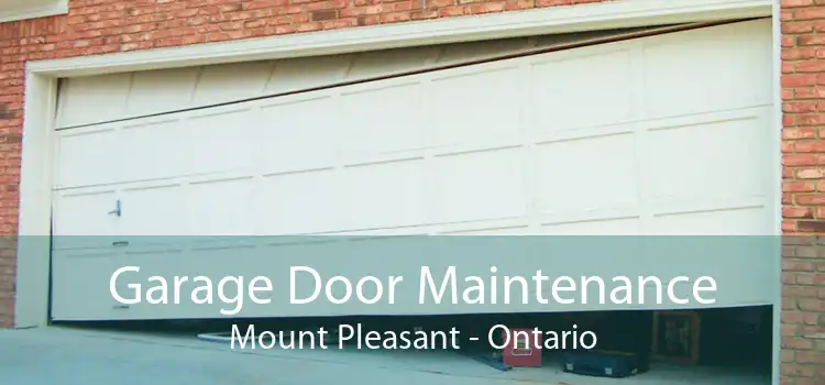 Garage Door Maintenance Mount Pleasant - Ontario