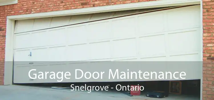 Garage Door Maintenance Snelgrove - Ontario