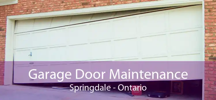 Garage Door Maintenance Springdale - Ontario