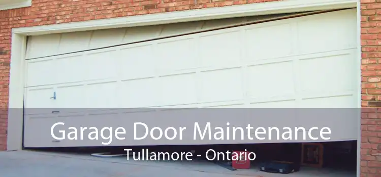 Garage Door Maintenance Tullamore - Ontario