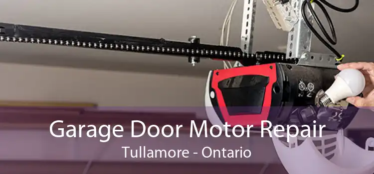 Garage Door Motor Repair Tullamore - Ontario