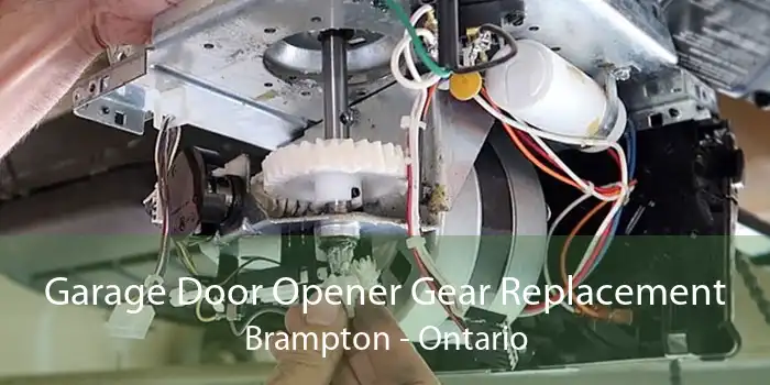 Garage Door Opener Gear Replacement Brampton - Ontario