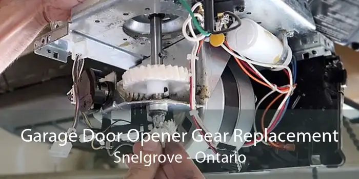 Garage Door Opener Gear Replacement Snelgrove - Ontario