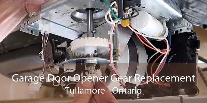 Garage Door Opener Gear Replacement Tullamore - Ontario