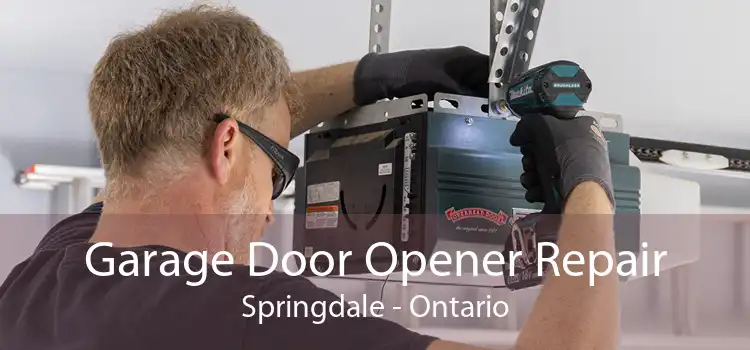 Garage Door Opener Repair Springdale - Ontario