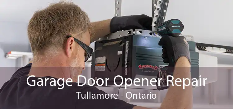 Garage Door Opener Repair Tullamore - Ontario