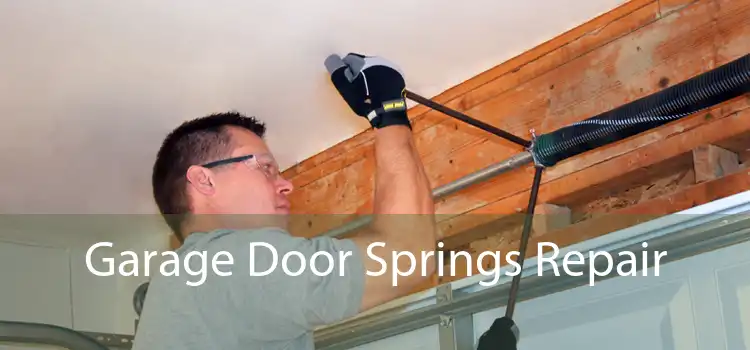 Garage Door Springs Repair 