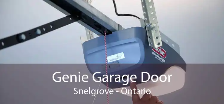 Genie Garage Door Snelgrove - Ontario