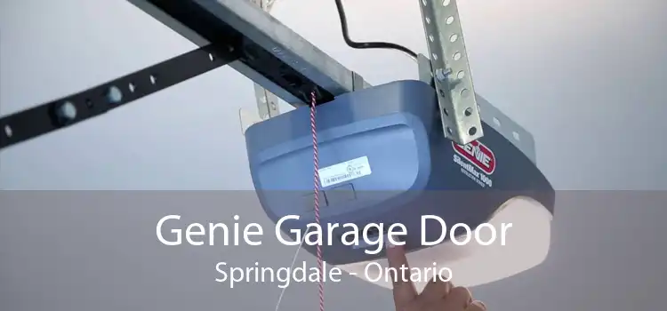 Genie Garage Door Springdale - Ontario