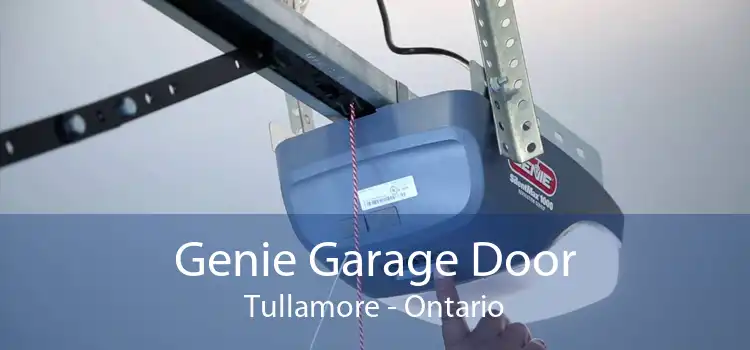 Genie Garage Door Tullamore - Ontario