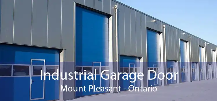 Industrial Garage Door Mount Pleasant - Ontario