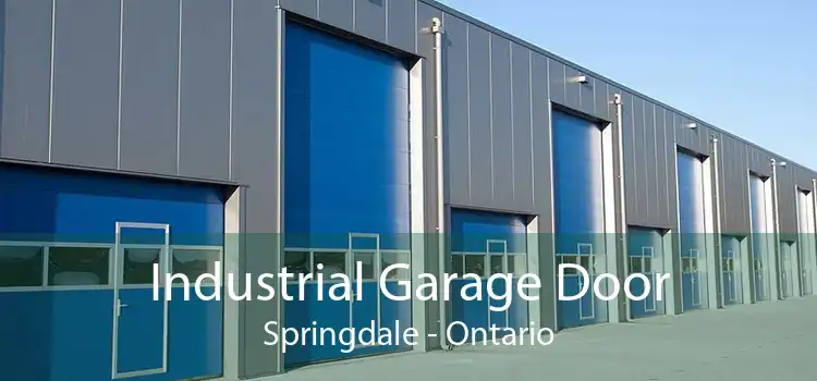 Industrial Garage Door Springdale - Ontario