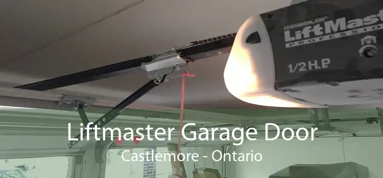 Liftmaster Garage Door Castlemore - Ontario