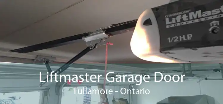 Liftmaster Garage Door Tullamore - Ontario