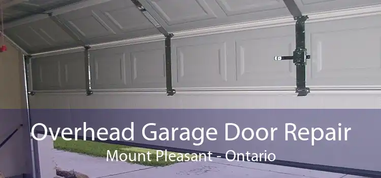 Overhead Garage Door Repair Mount Pleasant - Ontario