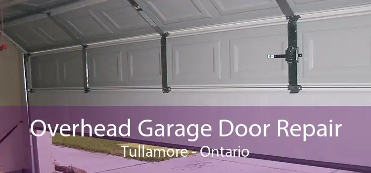 Overhead Garage Door Repair Tullamore - Ontario