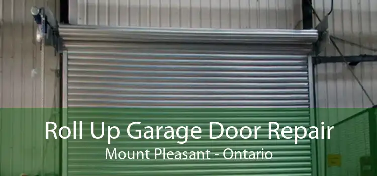 Roll Up Garage Door Repair Mount Pleasant - Ontario