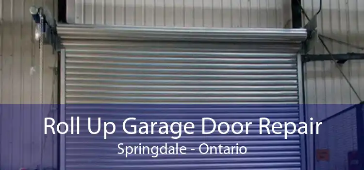 Roll Up Garage Door Repair Springdale - Ontario